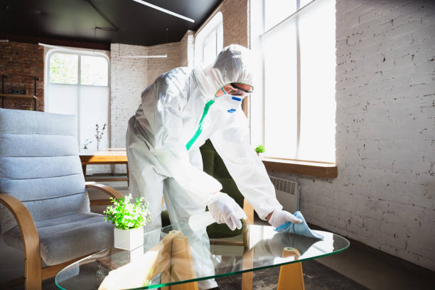 Professional Mold Removal in New Albany, IN